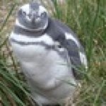 Profile Picture of Lisa_chatterjee (@lisa_chatterjee) on Instagram