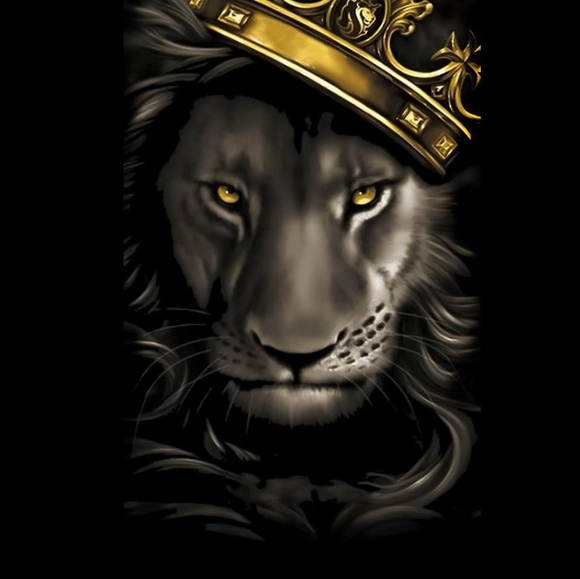 Profile Picture of Travis Hart (@hurricanet25) on Poshmark