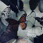 Profile Picture of Simone Glover (@simone.glover.733) on Facebook