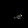 Profile Picture of damir husic (@@damir456) on Tiktok