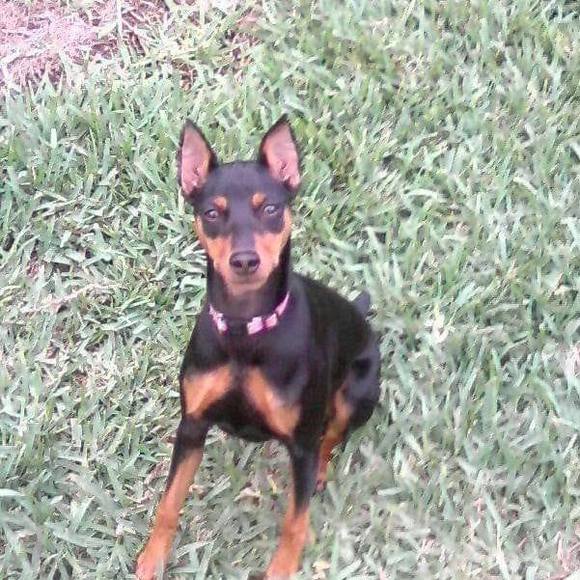 Profile Picture of Tamara Thornberg (@thornbergt) on Poshmark