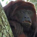 Profile Picture of Guillermo Serna Giraldo (@guillermosernagiraldo) on Instagram