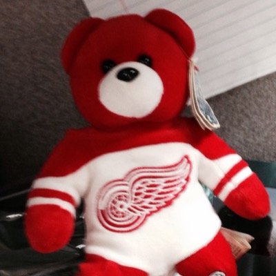 Profile Picture of David Messner (@WingsTiger) on Twitter