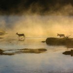 Profile Picture of Aidan davies (@aidan_20_) on Instagram