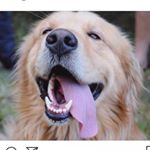 Profile Picture of soy scott (@scott_sarrode) on Instagram