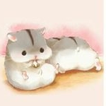 Profile Picture of Phụ kiện - Đồ dùng học tập 💞 (@selena.sock_store) on Instagram