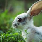 Profile Picture of Jerry Sims (@jerry.sims_) on Instagram