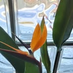 Profile Picture of Paul Horstmann (@paul.horstmann.7902) on Facebook