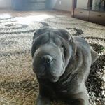 Profile Picture of Grant Madsen (@grantmadsen03) on Instagram