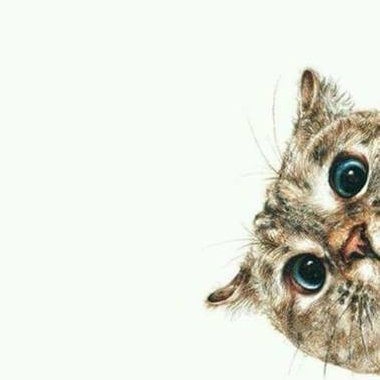 Profile Picture of Jean Mikhail (@jambysantosss) on Twitter