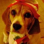 Profile Picture of Casey Jordan (@mrsjordan) on Pinterest