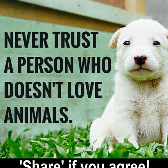 Profile Picture of Annette Hasten (@alhasten) on Poshmark