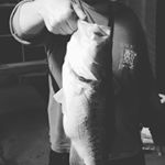 Profile Picture of Kyle (@k_ortes) on Instagram