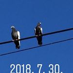 Profile Picture of Jungsook Lee (@jungsook525) on Instagram