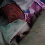 Profile Picture of Lucius Williams (@luciuswilliams3) on Instagram