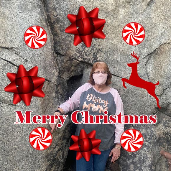 Profile Picture of Mary Maness (@mjm360) on Poshmark