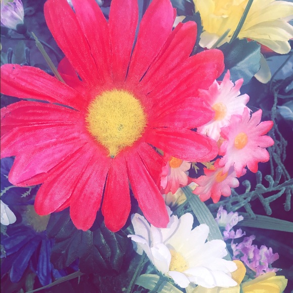 Profile Picture of Arely Castillo (@acastillo2442) on Poshmark