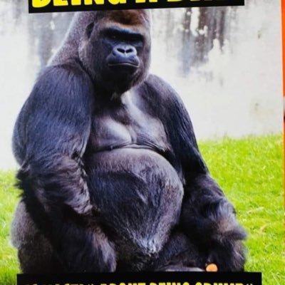 Profile Picture of Steve Mize (@SteveMize5) on Twitter