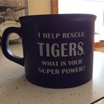 Profile Picture of Kim Pankonin (@pankoninkim) on Instagram