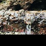 Profile Picture of marlene_wallacef (@marlene_wallacef) on Instagram