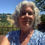 Profile Picture of Suzanne Hutchinson (@suzne2ca) on Instagram