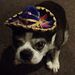 Profile Picture of Benjamin Gaskins (@benjaming4848) on Pinterest