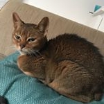 Profile Picture of Haydn John Eddy (@hxydn.66___) on Instagram