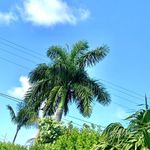 Profile Picture of billb.rutus (@billb.rutus) on Instagram