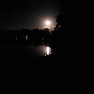 Profile Picture of John Pfarr (@JTiberiusPfarr) on Twitter