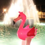 Profile Picture of Robert F. Mingo (@the.missing.mingo) on Instagram