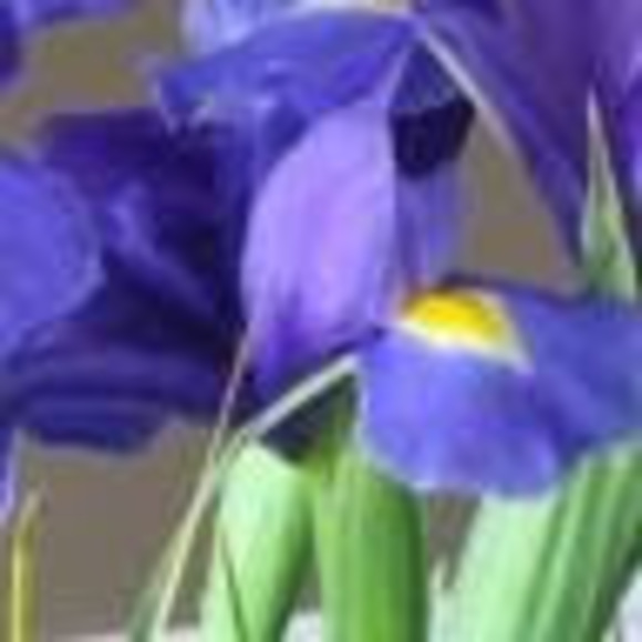 Profile Picture of Christina Bleckinger (@c_bleckinger) on Poshmark