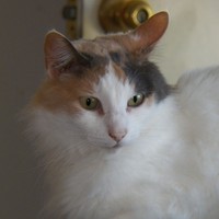 Profile Picture of Chris Mangum (@chris-mangum-2) on Quora