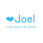 Profile Picture of JOEL COOLDOGS (@@joelcooldogs) on Tiktok