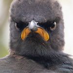 Profile Picture of Andrew Mayes (@andrew.mayes.716) on Instagram