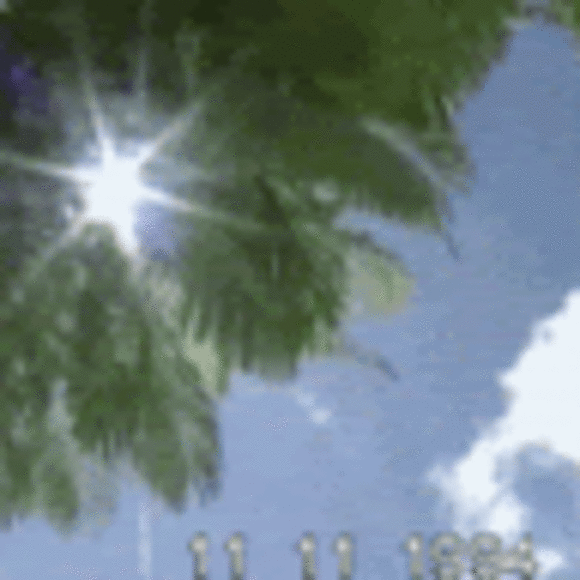 Profile Picture of Naomi Daniel (@naomidaniel0) on Poshmark