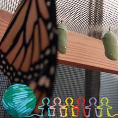 Profile Picture of Joyce Holmes (@joyce.holmes77) on Tiktok