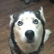 Profile Picture of Roxy Wyatt (@roxywyatt6627) on Youtube