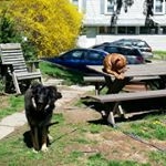 Profile Picture of Bobbie Nichols (@fishermom83) on Instagram