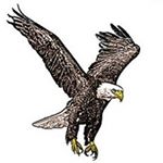 Profile Picture of Bethany Leonard (@bradford_high_fccla) on Instagram