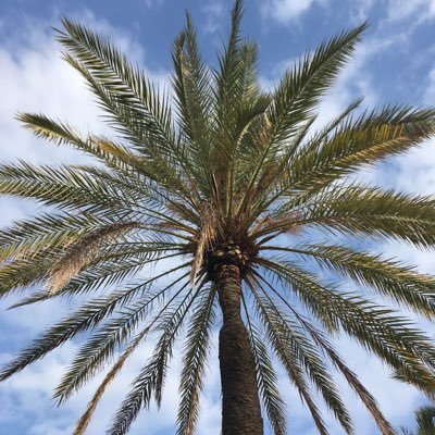 Profile Picture of Simon Nicholson (@simonbnicholson) on Twitter