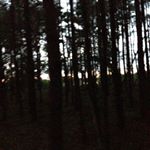 Profile Picture of Nancy (@nancy.girl_leipzig) on Instagram