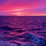 Profile Picture of sw_alba_guy (@sw_alba_guy) on Instagram