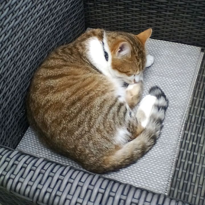 Profile Picture of Blake Stewart (@ps5_lover_2011) on Tiktok