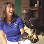 Profile Picture of Peggy Chase (@rcpeggy) on Instagram