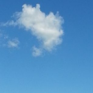 Profile Picture of Lisa Bozzi (@BozziLisa) on Twitter