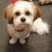 Profile Picture of Dena Wilkinson (@dena.wilkinson.3705) on Facebook