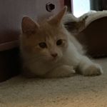 Profile Picture of Stephen (@switty.swooty) on Instagram