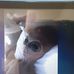 Profile Picture of Marc Hobbs (@marc.hobbs.9277) on Facebook