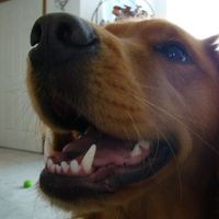 Profile Picture of Kim Bergsma Crossposting (@kim-bergsma-crossposting) on Quora