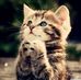 Profile Picture of Rahman Lima (@rahman.lima.56) on Facebook